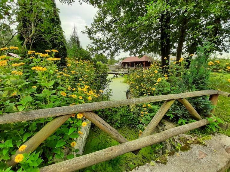 Gospodarstwo Agroturystyczne Pod Lasem Maria Plazio Narol Exterior photo